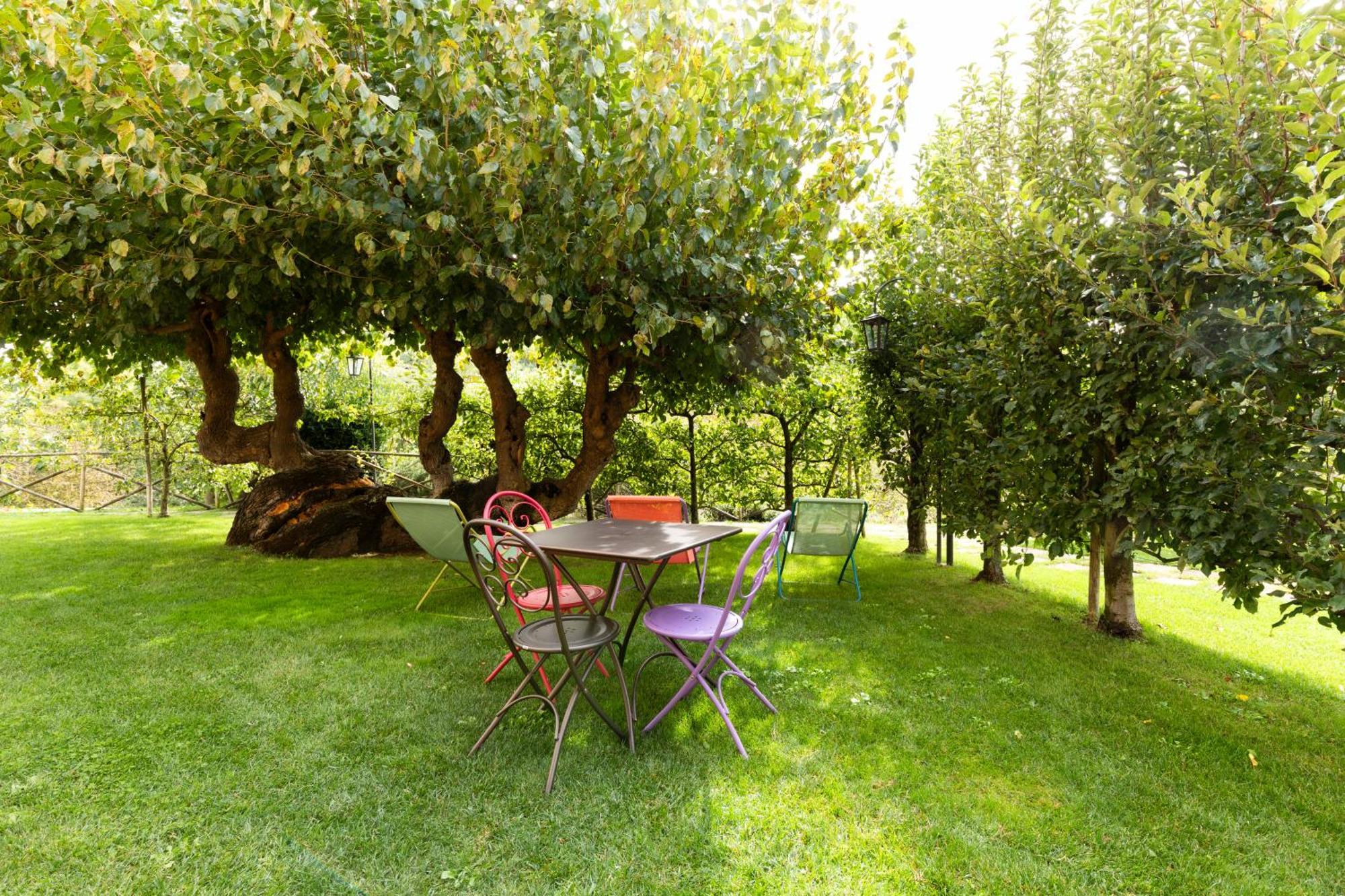 Agriturismo I Gelsi Di Santa Cristina Gubbio Bagian luar foto