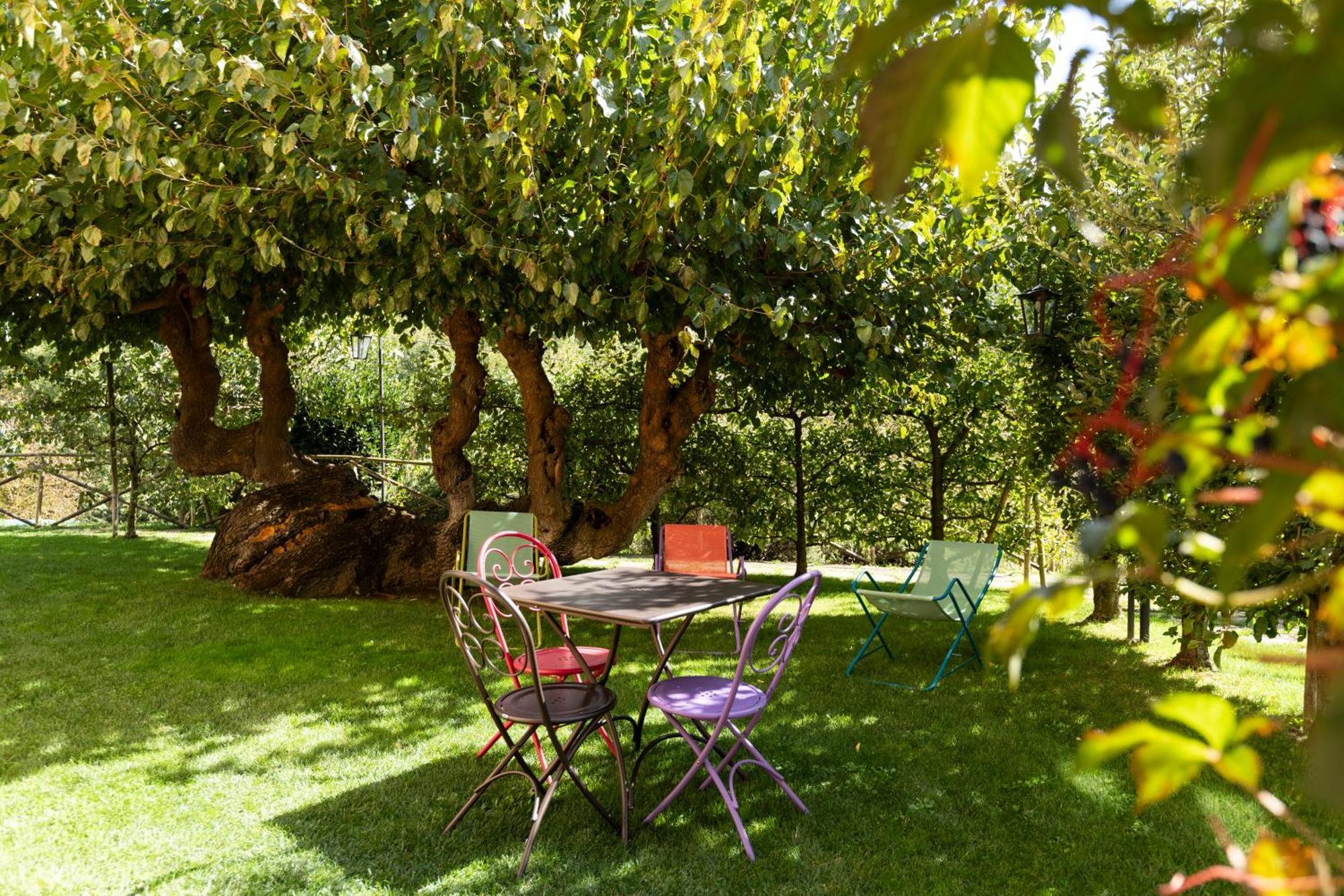 Agriturismo I Gelsi Di Santa Cristina Gubbio Bagian luar foto